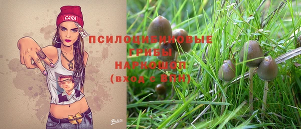 дмт Верея