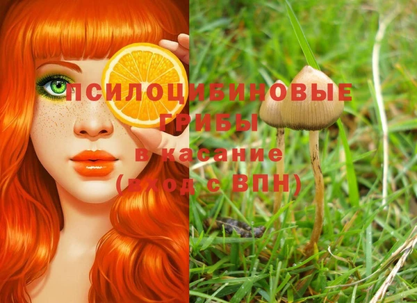 дмт Верея