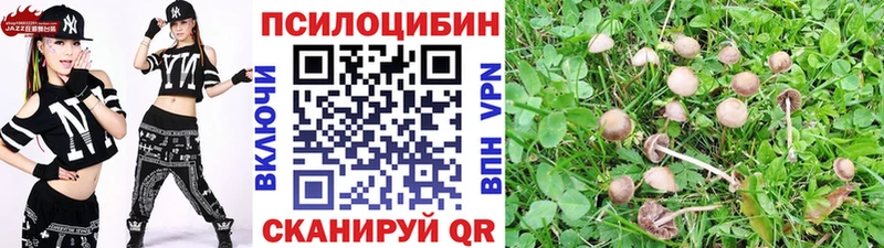 Галлюциногенные грибы MAGIC MUSHROOMS  Смоленск 